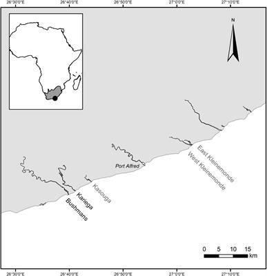 The Last Two Remaining Populations of the Critically Endangered Estuarine Pipefish Are Inbred and Not Genetically Distinct